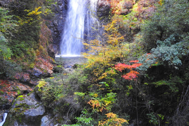 紅葉の季節を待ちわびて18