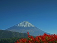 西湖の富士山