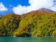 白水湖の紅葉