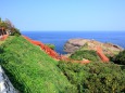 日本海と朱色ぼ鳥居