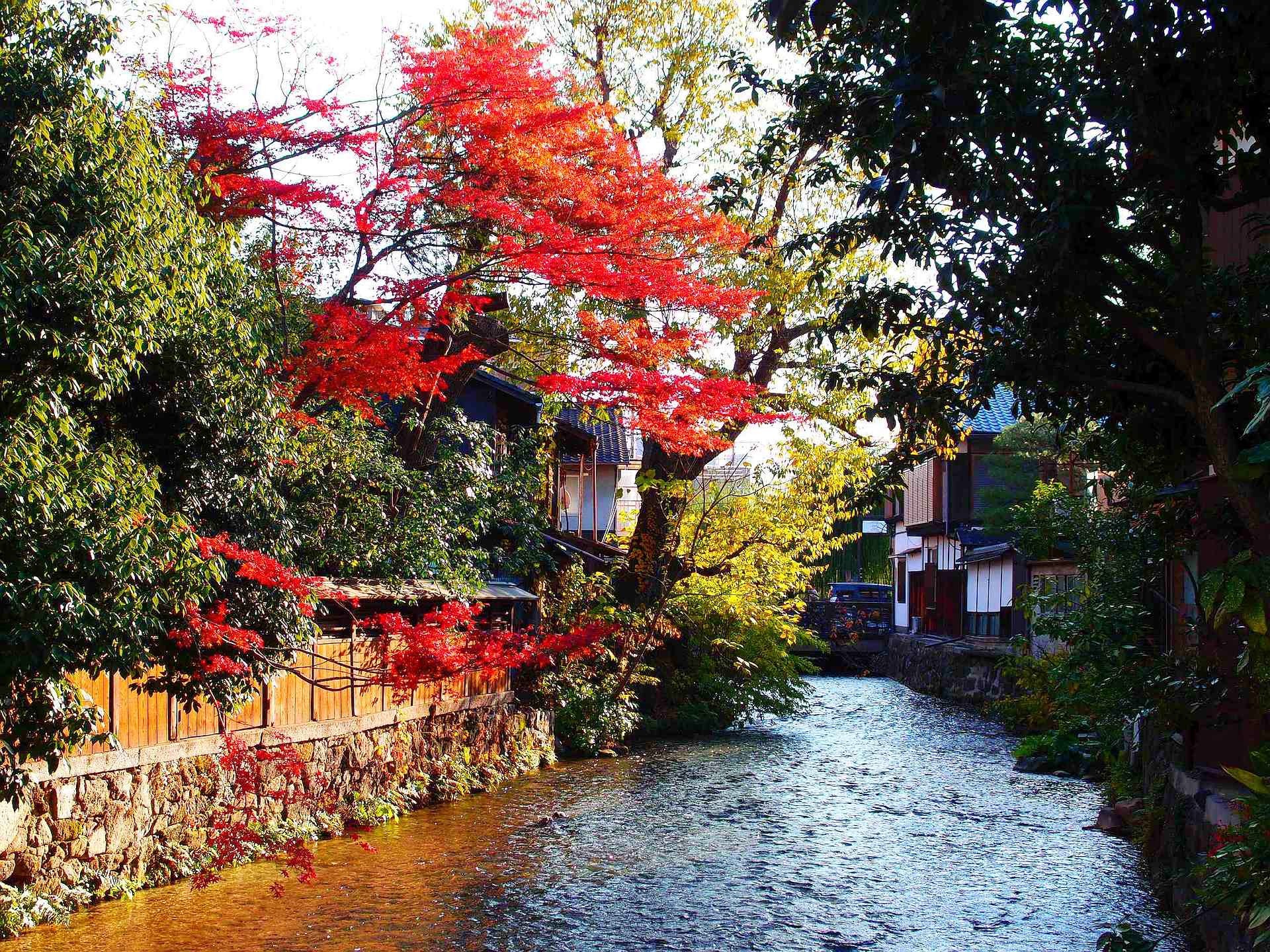 日本の風景 京都白川の街の秋 壁紙19x1440 壁紙館