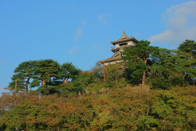 秋の丸岡城