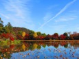 嵯峨野大覚寺大沢の池の秋2