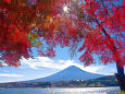 富士山と紅葉