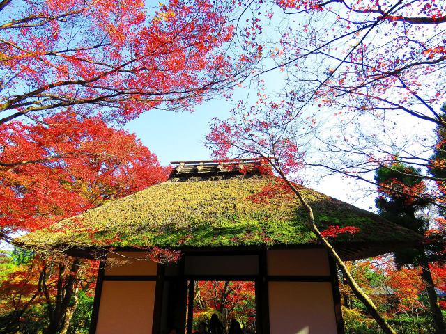 小倉山常寂光寺茅葺の仁王門北面