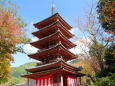 海住山寺・五重塔