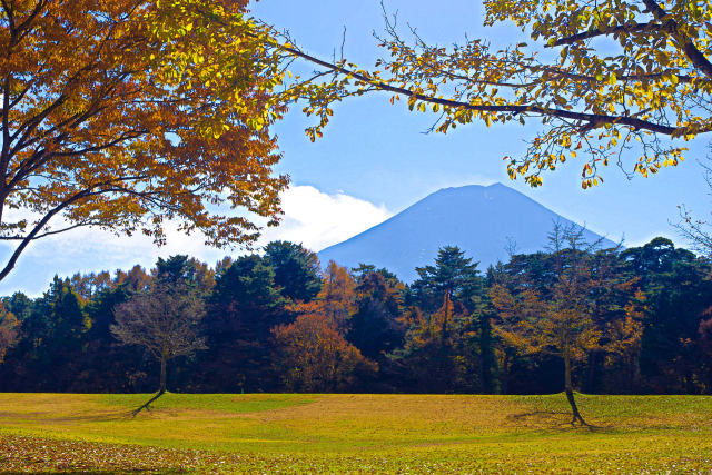富士パインズパークからの富士山