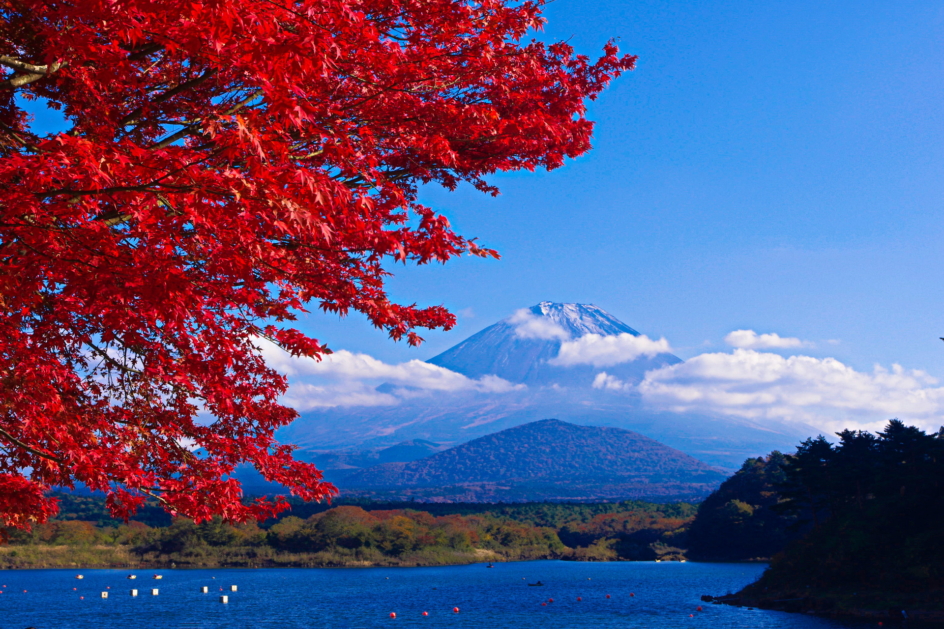 日本の風景 富士山と紅葉 壁紙19x1280 壁紙館