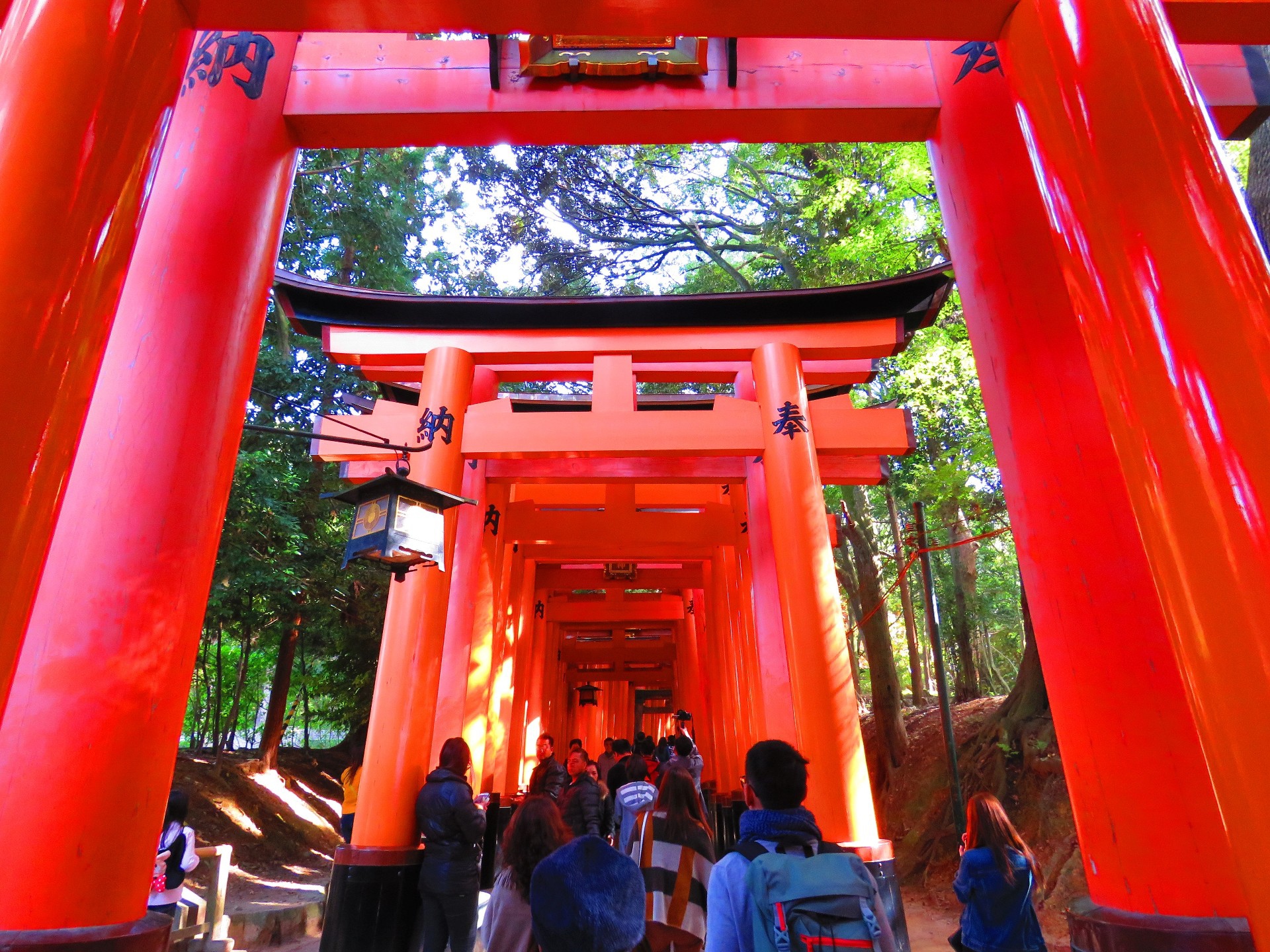 日本の風景 千客万来の伏見稲荷大社千本鳥居 壁紙19x1440 壁紙館