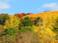 紅葉する奈良若草山