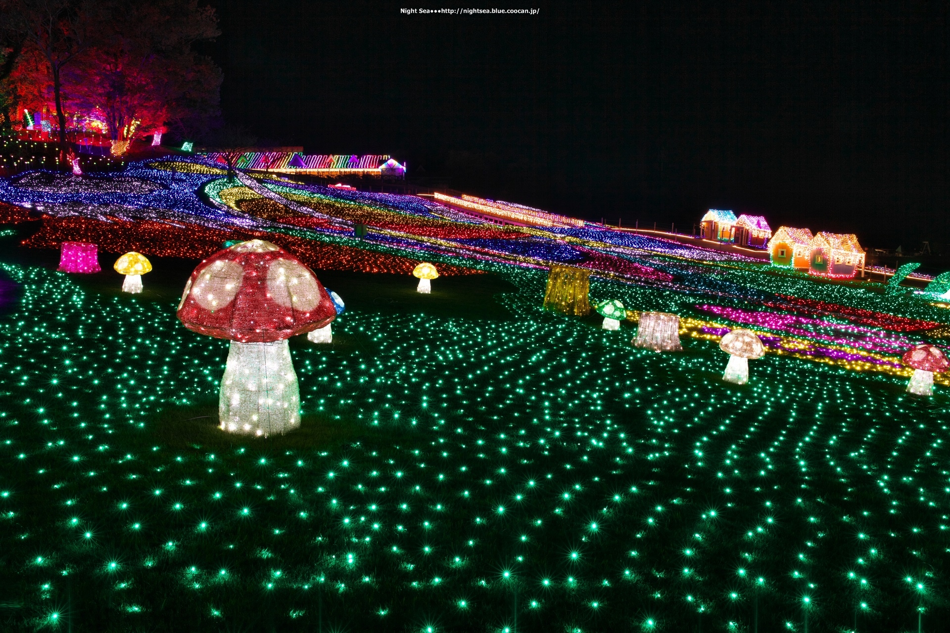 夜景 花火 イルミ きのこの森 壁紙19x1280 壁紙館