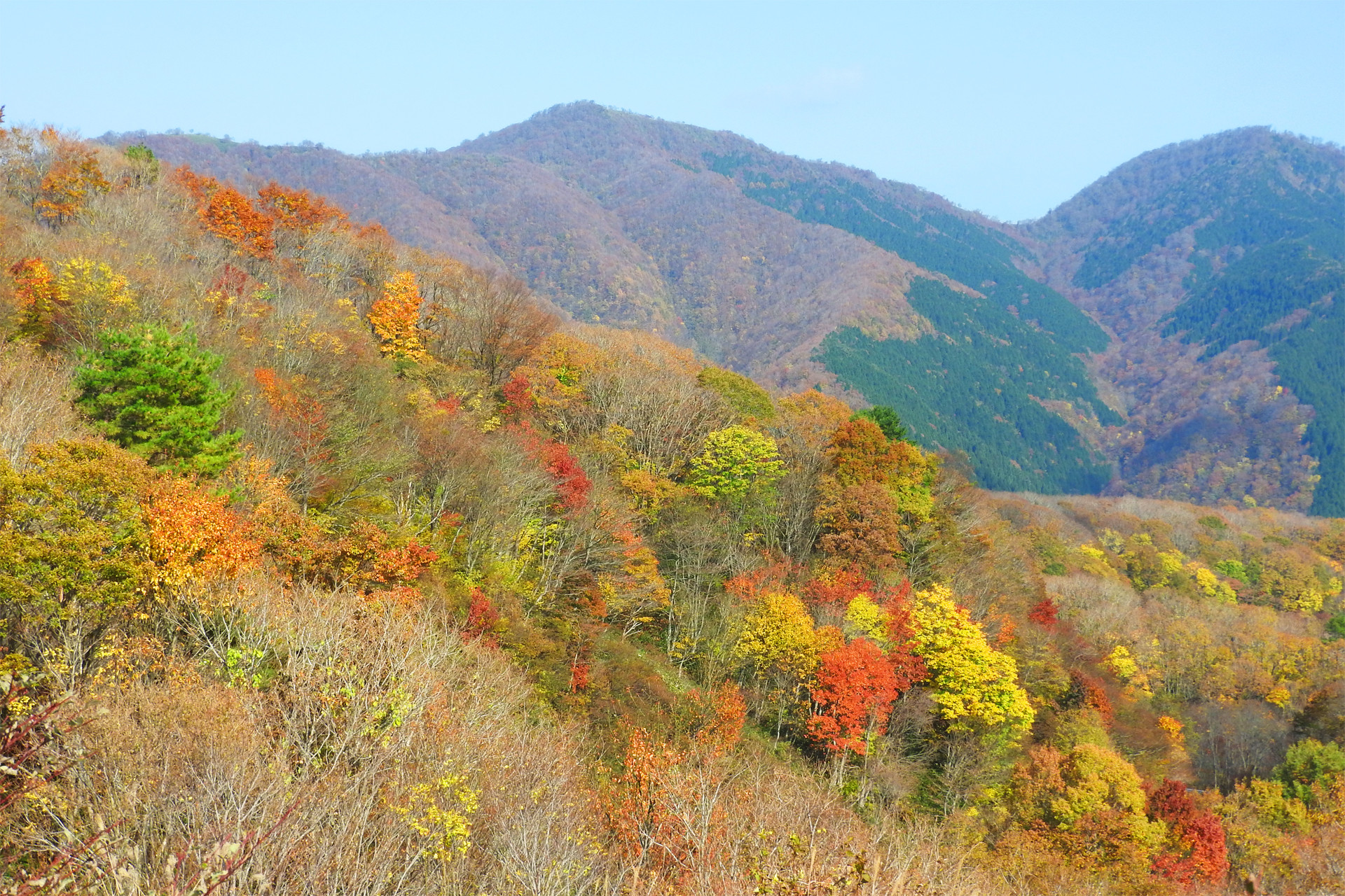 日本の風景 紅葉の蒜山高原5 壁紙19x1280 壁紙館