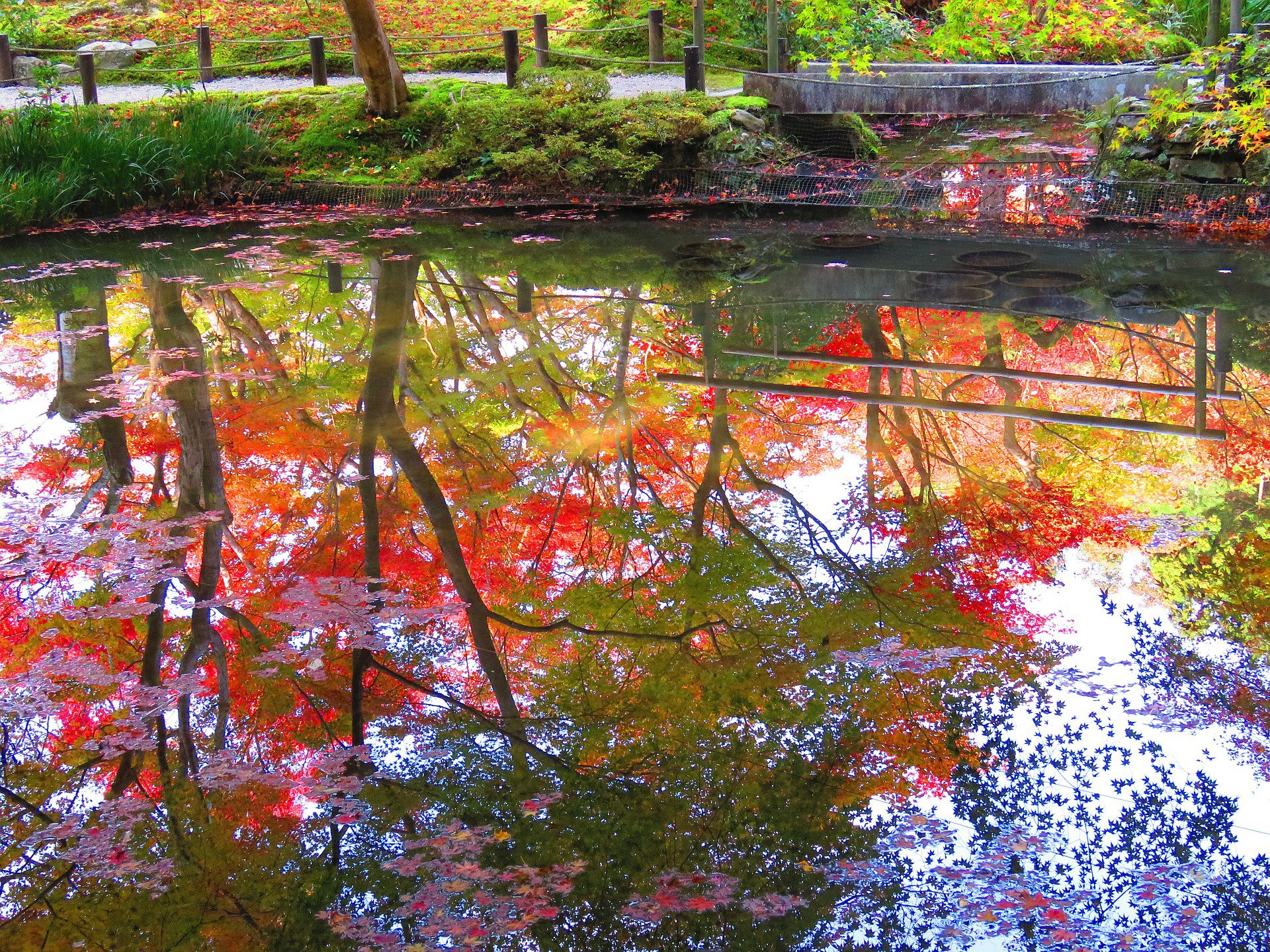 日本の風景 京都圓光寺の池に映る紅葉 壁紙19x1440 壁紙館