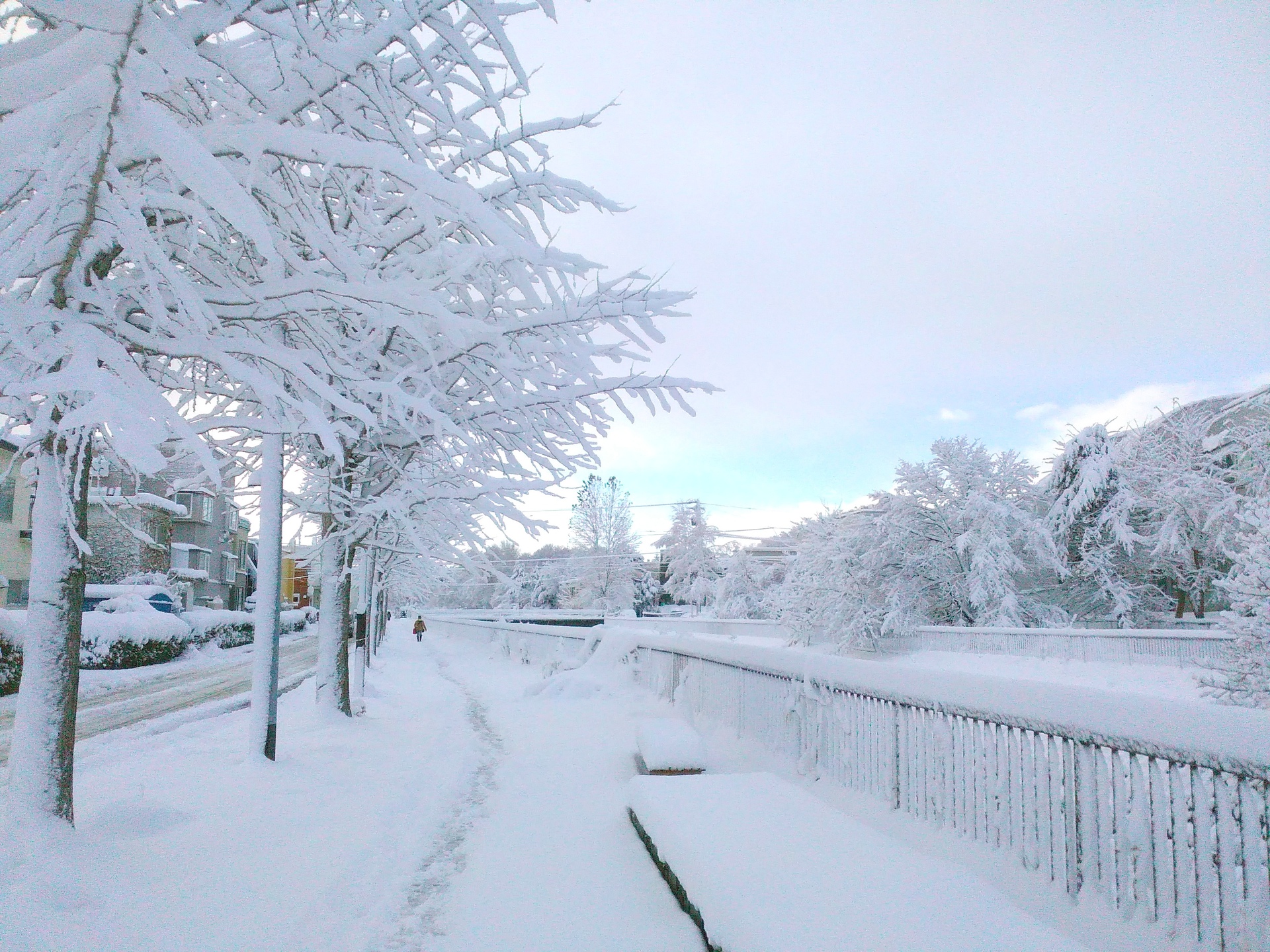 すべての美しい花の画像 ベストiphone7 壁紙 雪