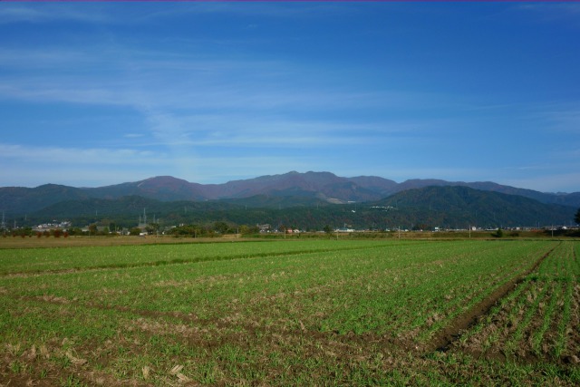 秋の大野盆地