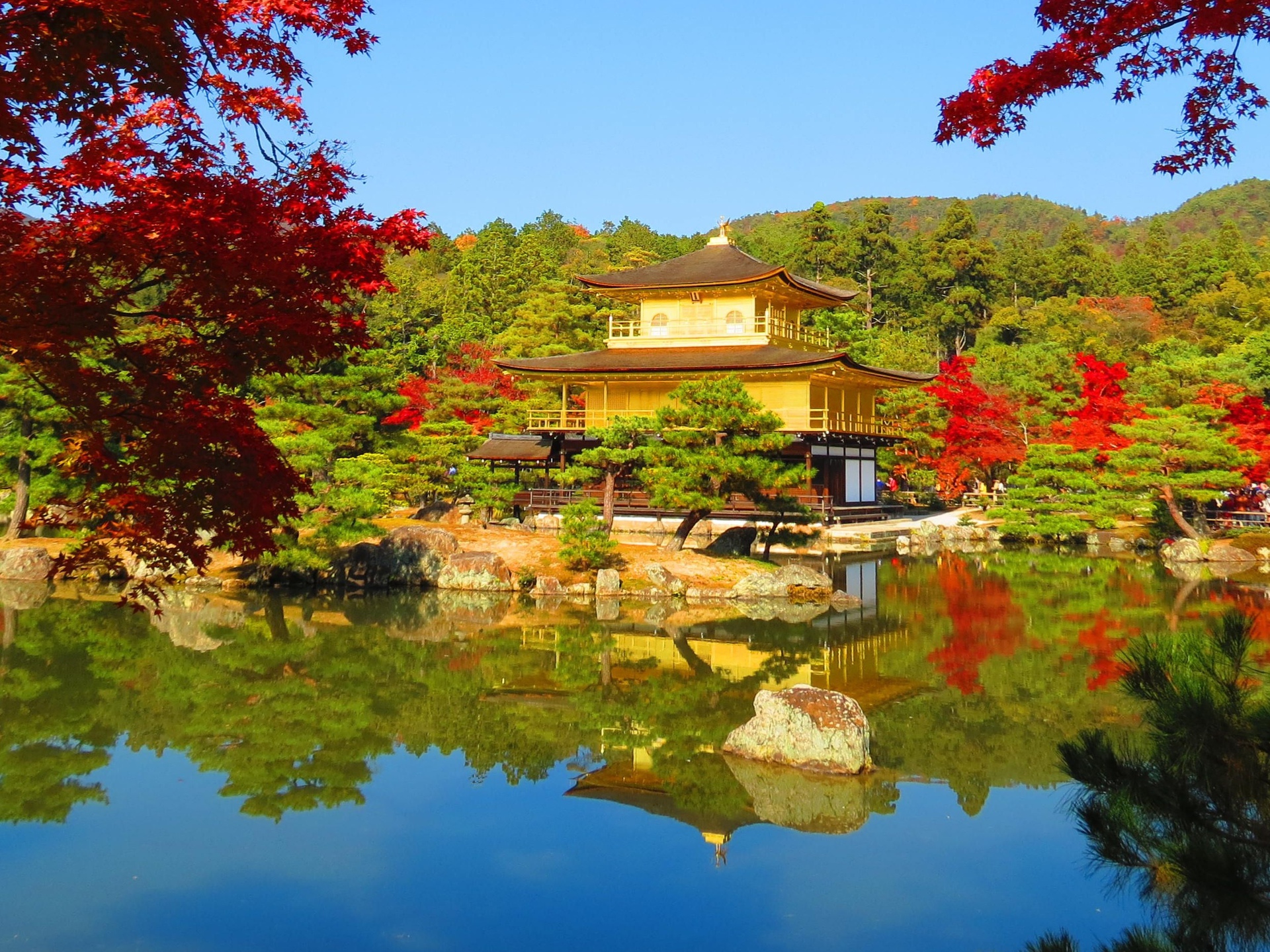 日本の風景 金閣寺の秋 壁紙19x1440 壁紙館
