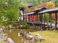 京の秋・高台寺