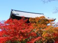 南禅寺巨大な三門と紅葉
