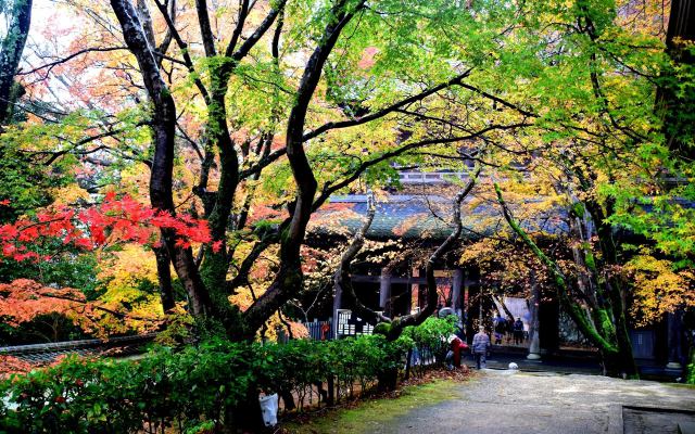 永源寺の紅葉(6)