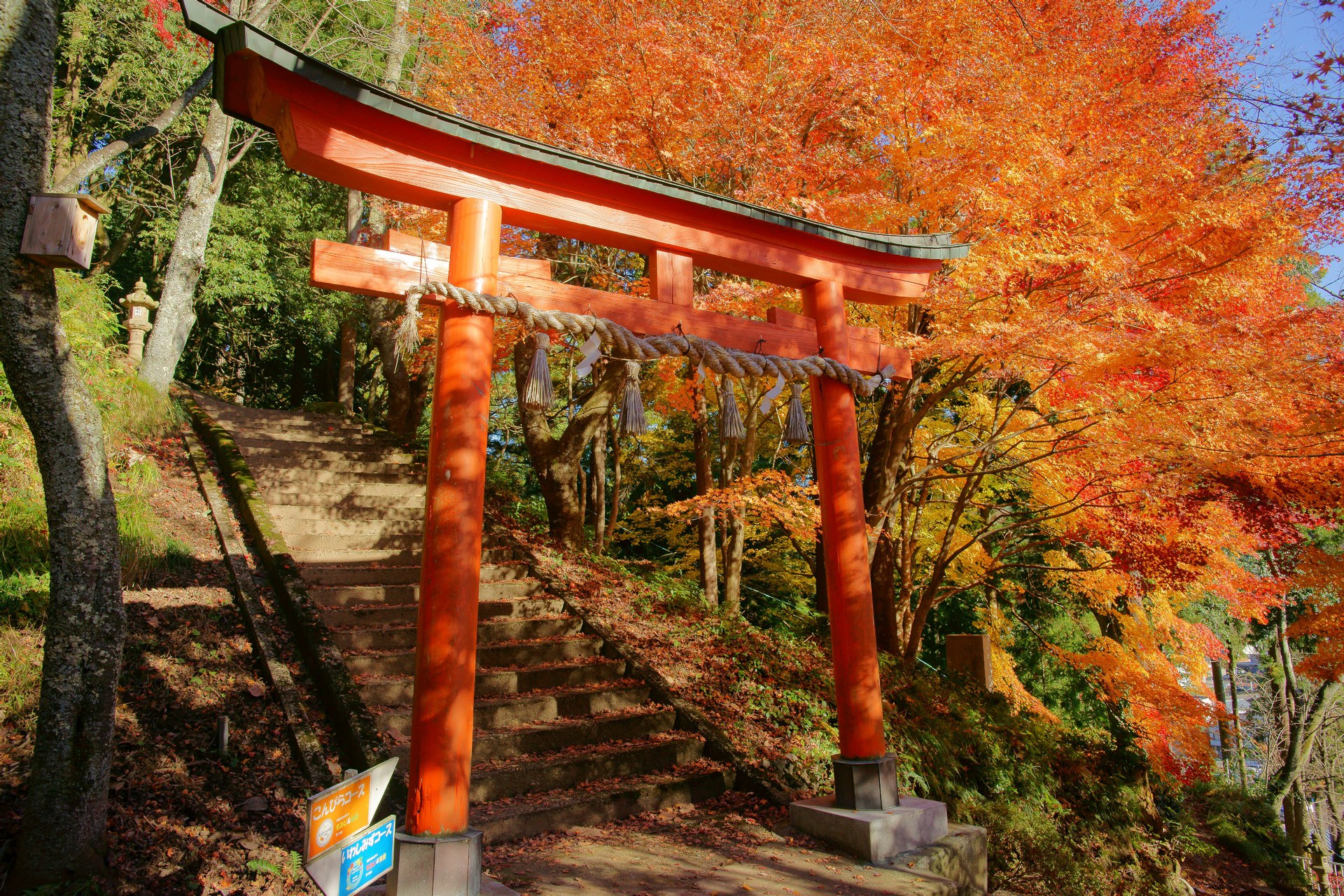 日本の風景 花筐公園のもみじと鳥居 壁紙1920x1280 壁紙館