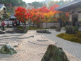 京都の紅葉・圓光寺・#3