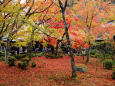 京都の紅葉・圓光寺・#6