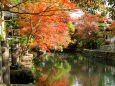 江戸初期建造の水路に映える紅葉
