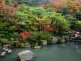 湖東三山 百済寺の紅葉(2)