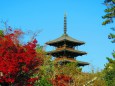 晩秋の斑鳩法隆寺五重塔