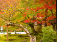 高台寺 方丈から見る紅葉