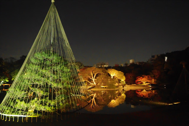 六義園 ライトアップ 2