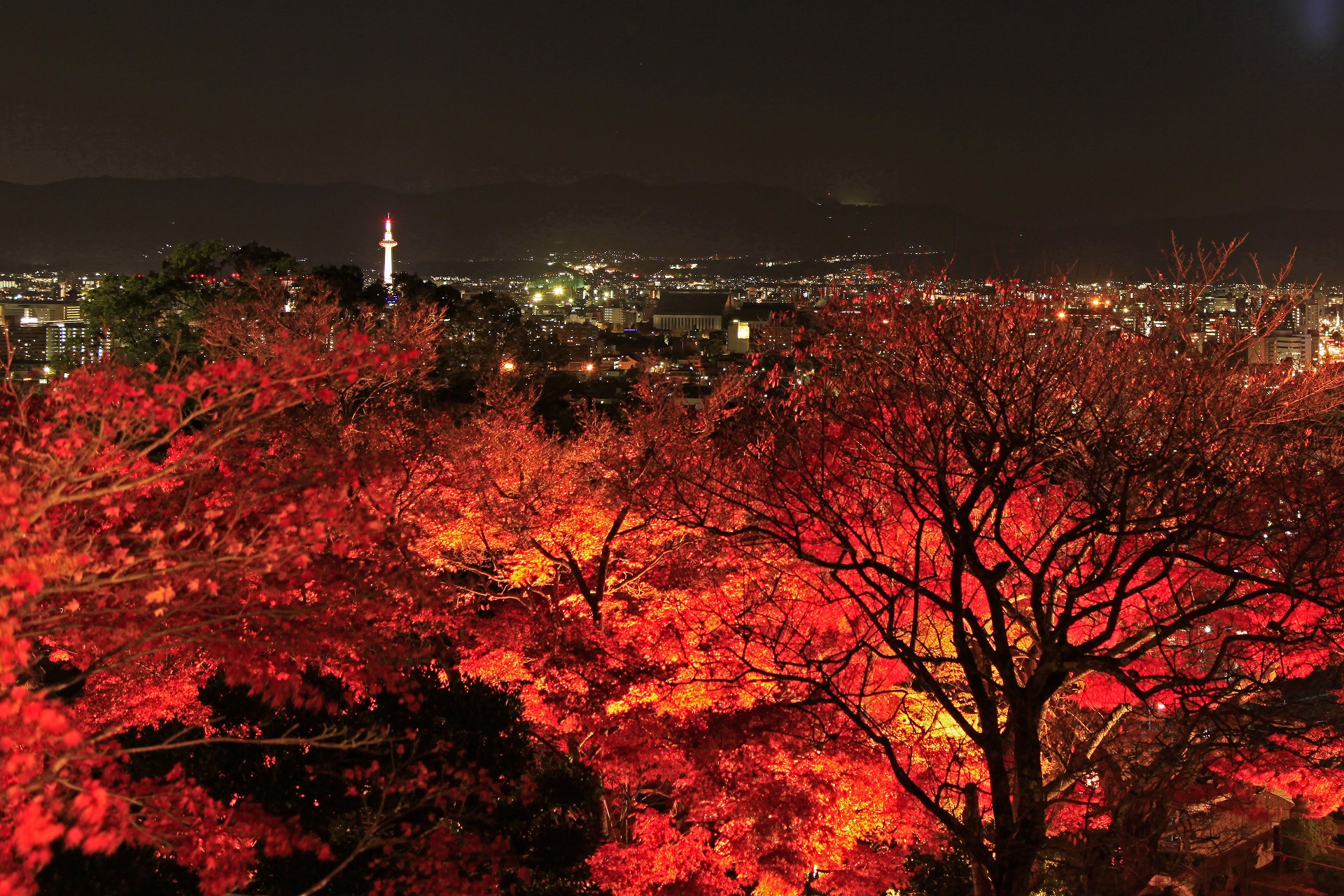 夜景 花火 イルミ 京都夜の紅葉 壁紙19x1280 壁紙館