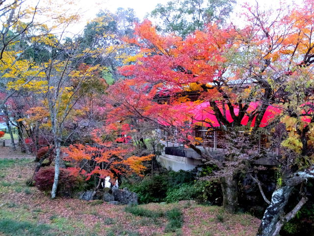 夕暮れの耶馬トピア