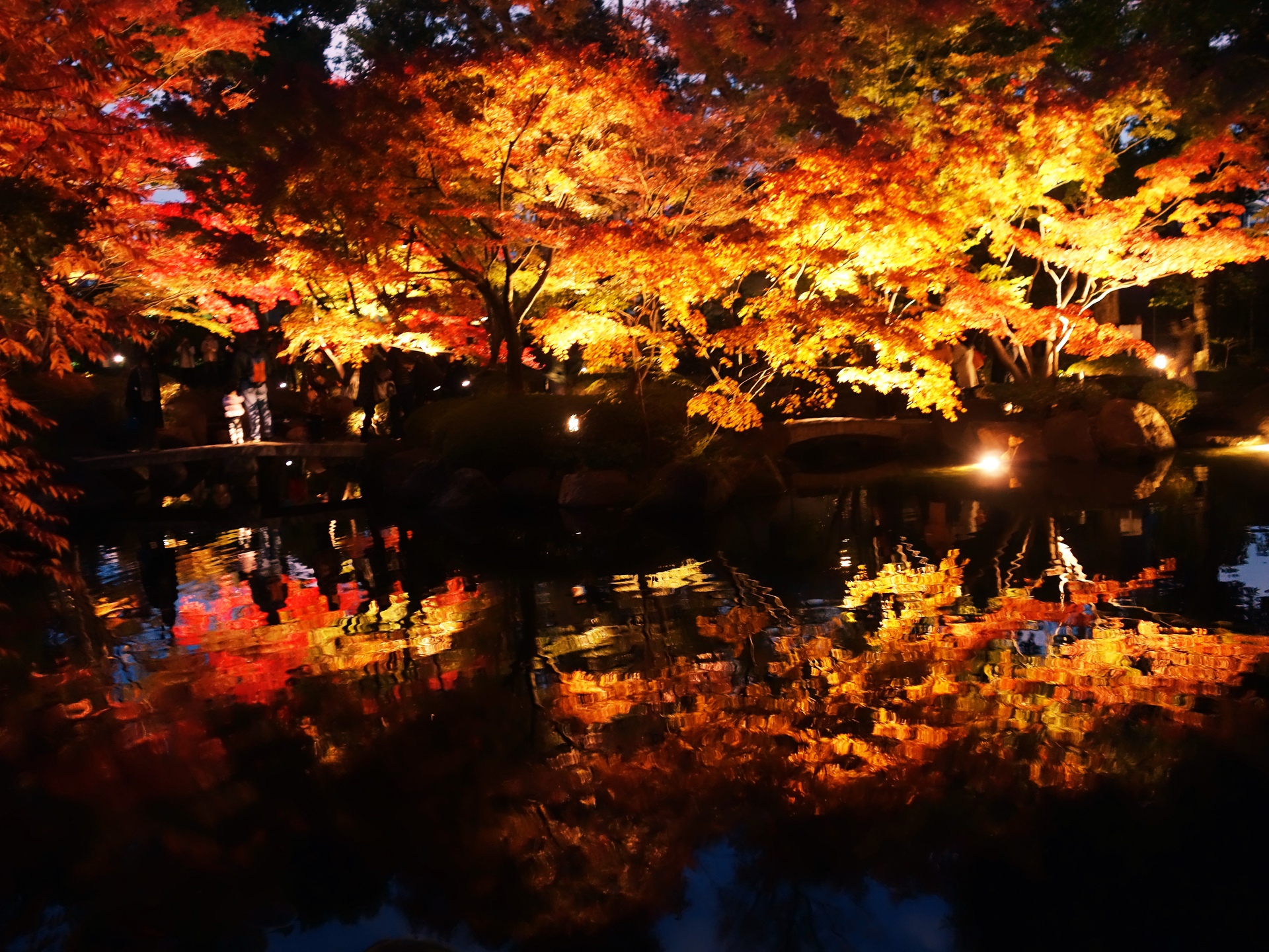 夜景 花火 イルミ 紅葉ライトアップ 壁紙19x1440 壁紙館