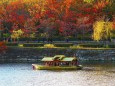 大阪城お堀の紅葉と金の御座船