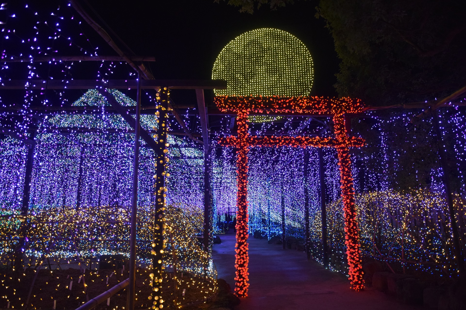 夜景 花火 イルミ 由志園 イルミネーション1 壁紙19x1280 壁紙館