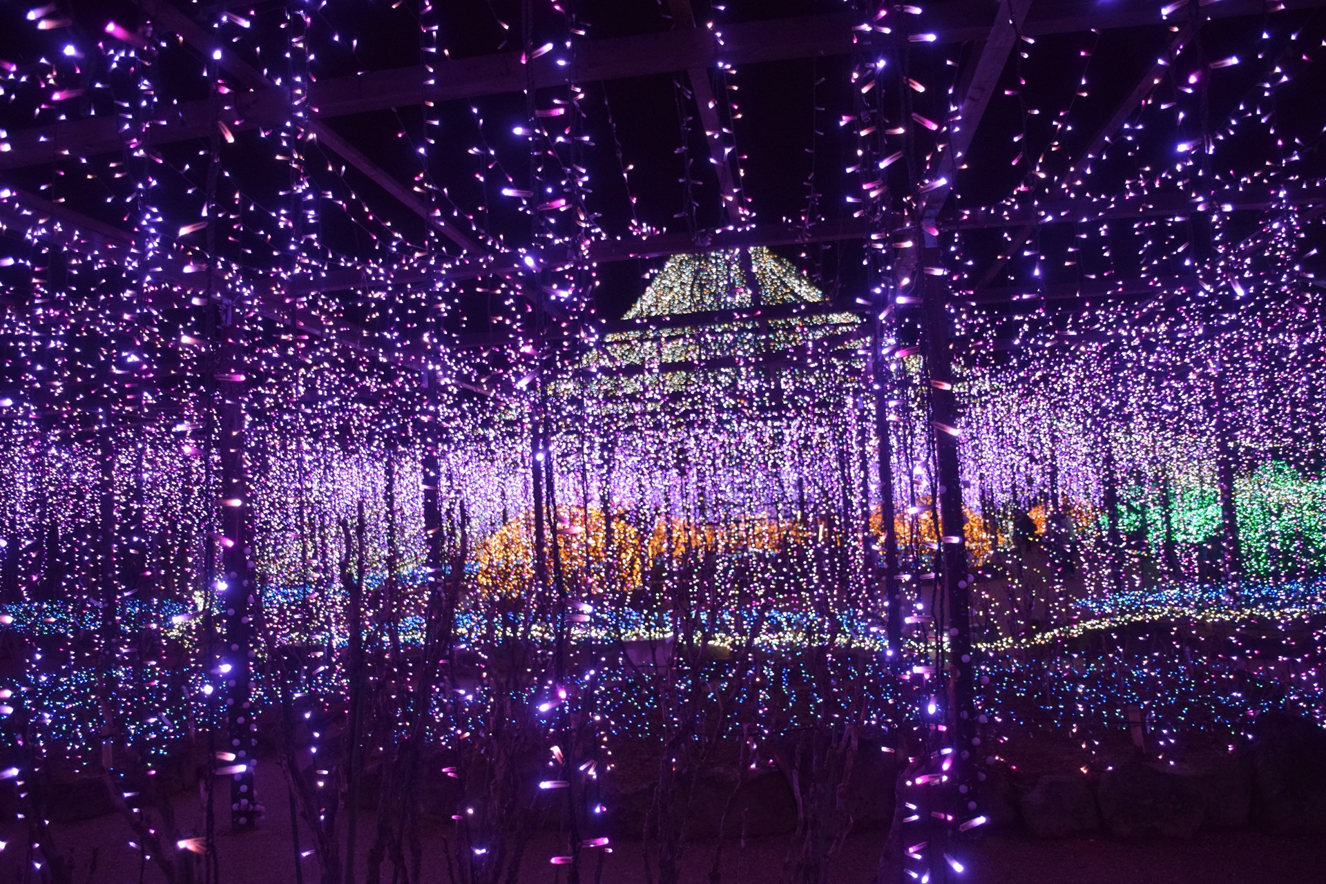 夜景 花火 イルミ 由志園 イルミネーション2 壁紙19x1280 壁紙館