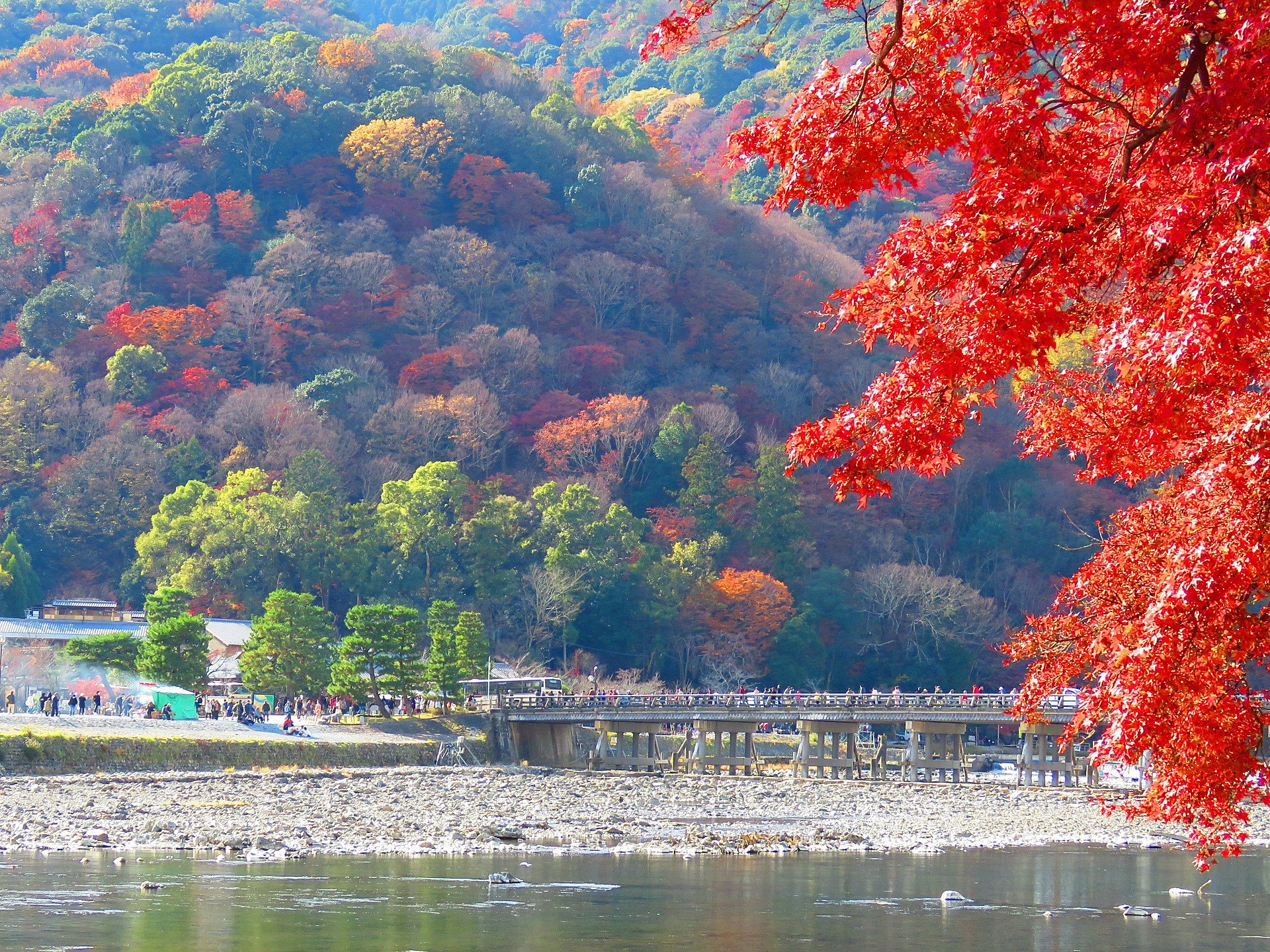 日本の風景 残秋の嵐山渡月橋 壁紙19x1440 壁紙館