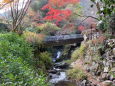 渓流の紅葉と橋