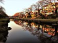 カワセミの住む川