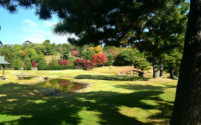 大乗院庭園の秋(3)