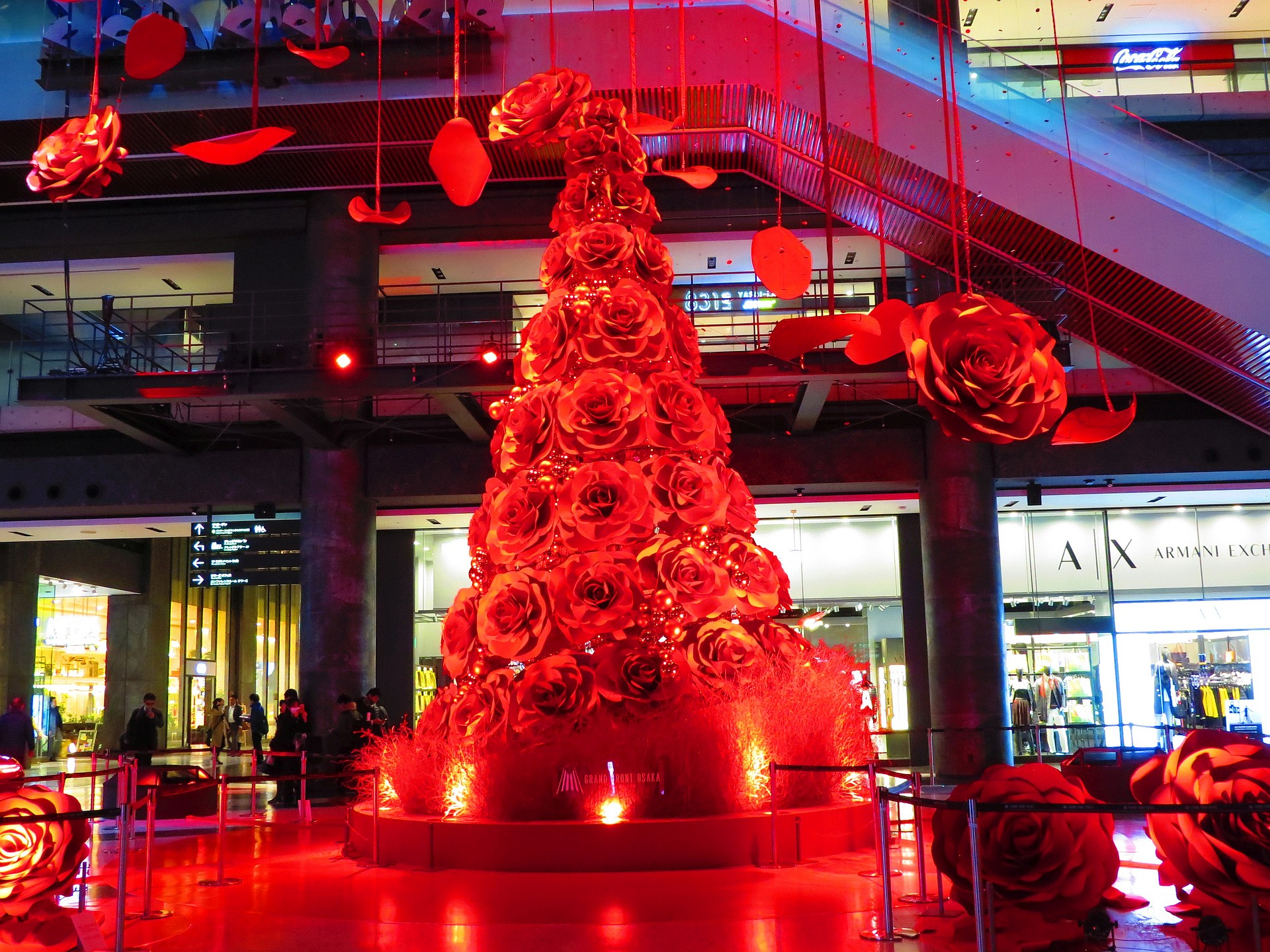 夜景 花火 イルミ 赤いバラのクリスマスツリー 壁紙19x1440 壁紙館