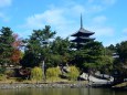 奈良公園の秋(3)