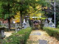 秋の神社参道