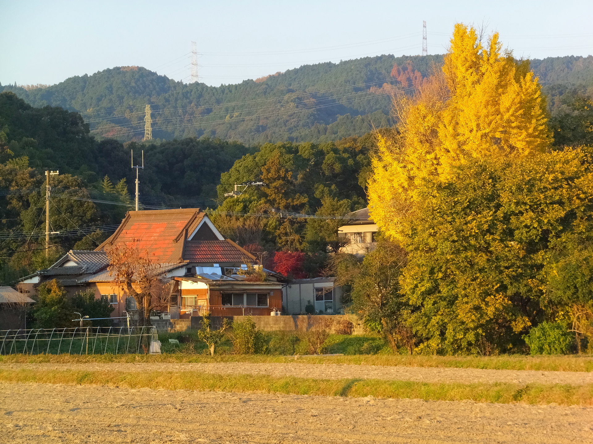 日本の風景 秋の夕暮れ 壁紙19x1440 壁紙館