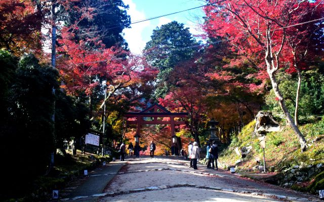 比叡山坂本 日吉大社の秋(3)
