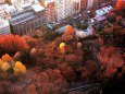 新宿中央公園の紅葉