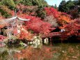 燃える醍醐寺(7)