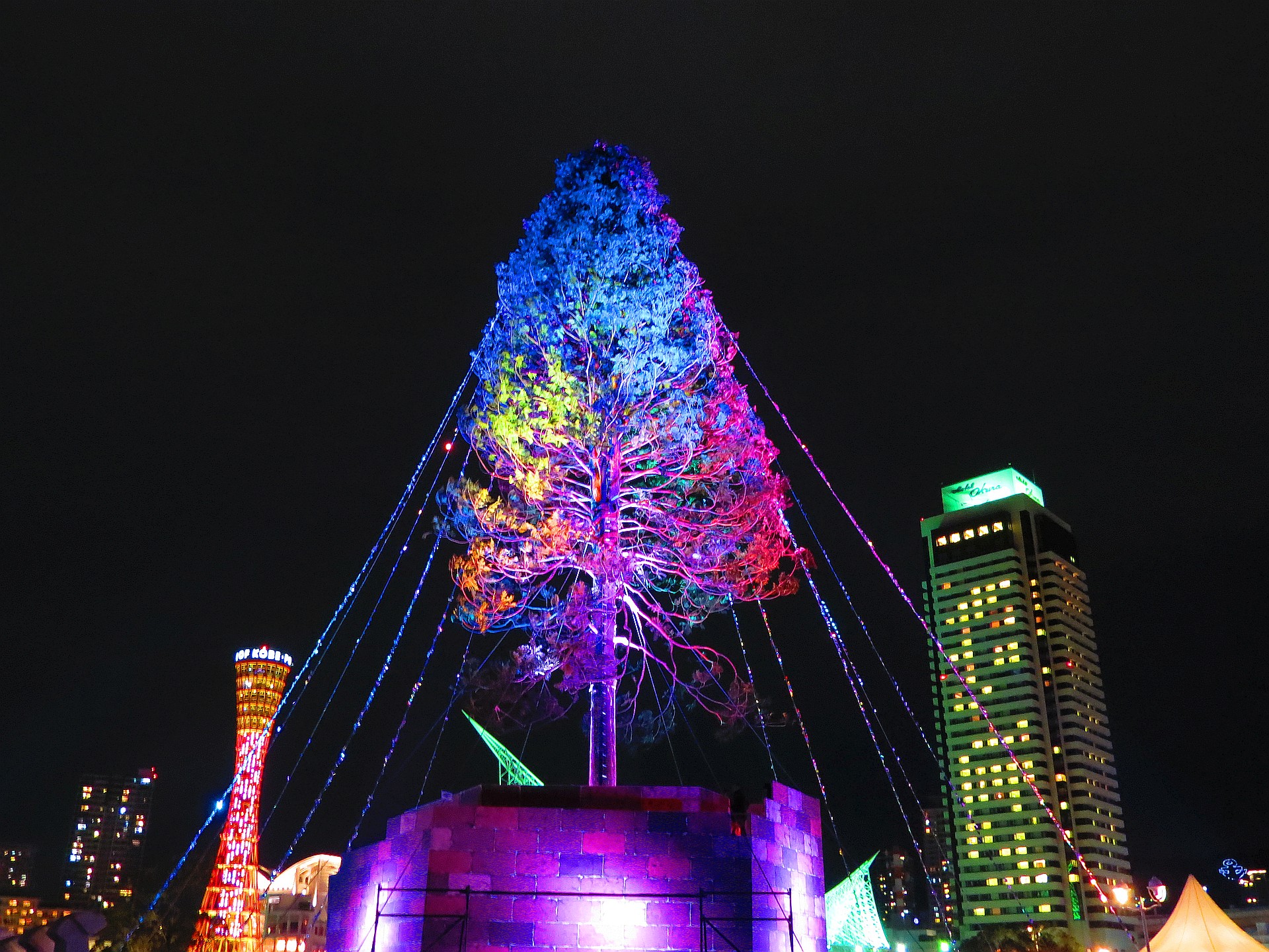 夜景 花火 イルミ 日本一高い木のクリスマスツリー 壁紙19x1440 壁紙館