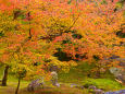 嵐山 宝厳院の枯山水と紅葉